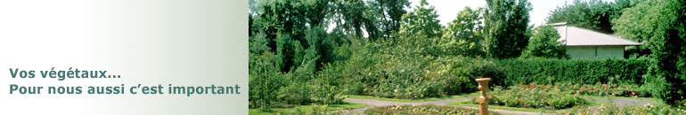 Services offerts par Irrigation Charron de Longueuil